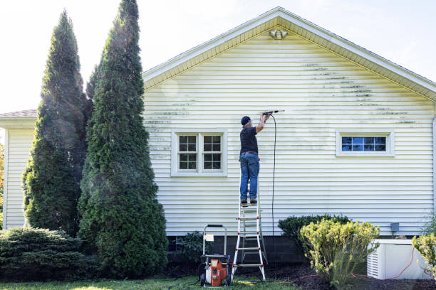 Best Gutter Cleaning  in Tomahawk, WI
